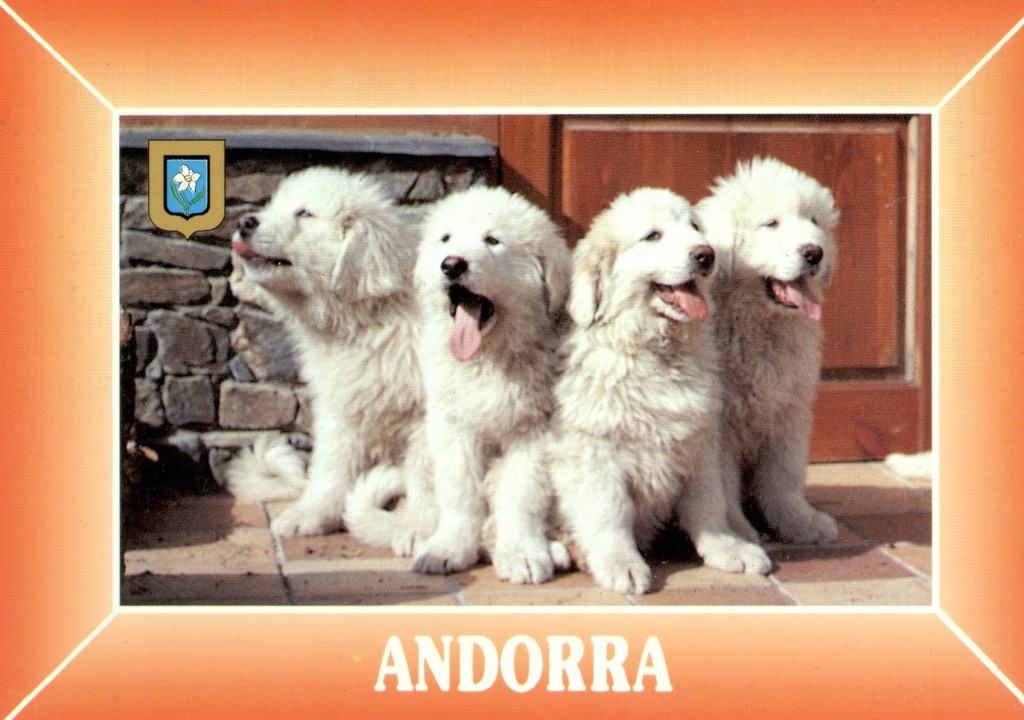 noid_dog_andorra_march2015_1