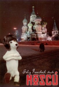 открытка с собакой (Испания)