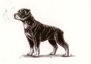 художественная открытка с собакой (Нидерланды)