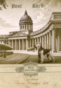 открытка с собакой на фоне Казанского собора (Россия)